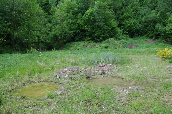 Projektgebiet Tongrube Oberauel