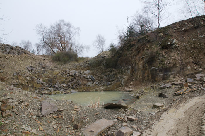 Steinbruch bei Lindlar