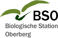 BSO Logo