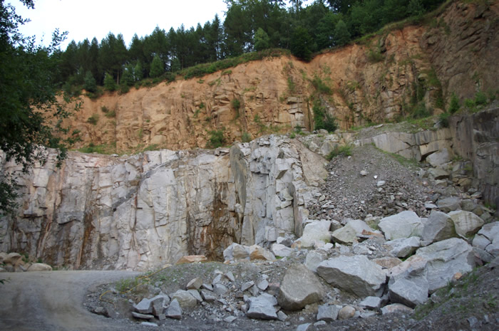 Abb. 2: Unkenlebensraum im Granitsteinbruch.