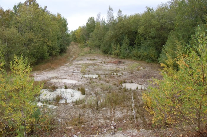 Projektgebiet Quarzsandgrube Brenig